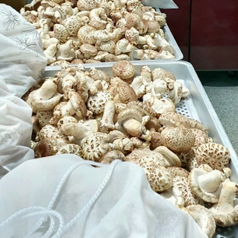 쉼팩토리,[웰던표고] 참나무원목표고 화고 동고 유기농 생표고 1kg [원산지:국산(강원도 정선군)]